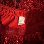 Red tassle skirt Size 10 Photo 1