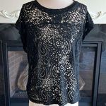 Black Solid Top Semisheer Open Weave Womens Medium Pullover Short Sleeve Photo 0