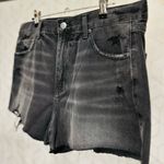Pistola  Black Distressed Denim Shorts (High Rise) Size 30 Photo 4