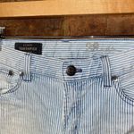 J.Crew  Blue & White Pin Stripe Toothpick Zip Ankle Skinny Jeans Women's Size 29 Photo 4
