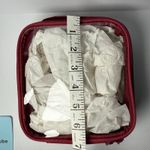 EzPacking Extra Small Cube Maroon Clear Travel Organizer Red Photo 5