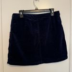 Blue Floral Skirt Size 12 Photo 1