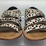 Sorel Lake Shore Horse Hair Sandal Shoe Rare
Women's Size 8.5 Leopard P… Photo 6