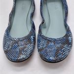 AERA Women’s Blue Snakeskin Ballet Flats 36.5 US 6 Vegan Italy Luxe Minimalist Photo 2