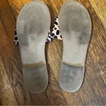 Loft  Leopard Slides Sandals Size 8 US Women's Faux Suede Leather Flat Photo 4