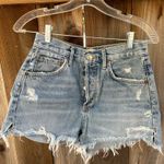 AGOLDE Jean Shorts Jaden Photo 3