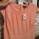 The Limited  Coral Eyelet Fit & Flare Dress Size L NWT Photo 6