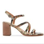 Madewell  Womens Size 8 Snake Heeled Sandal Shoes Photo 1