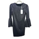 Ted Baker  Hanneh Shimmer Dress NWT Sz. 1 (US 4) Photo 1