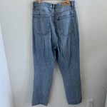 PacSun Pacific Sunwear Dad Jean Distressed Denim 30 Photo 2