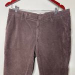 Brunello Cucinelli  chocolate velvet mid rise trousers sz 10 Photo 1