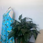 Modcloth dress Jill Tropical powder blue floral
Turtles Swing plus dress Sz 20 Photo 7