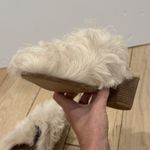 Madewell Women's Size 6 Clogs Real Fur Upper Leather Lined Wooden Heel "Harper" Photo 9