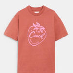 Coach NWT Strawberry Skater T Shirt In Organic Cotton size XL Photo 0