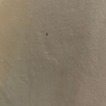 Brandy Melville John Galt Aleena Honey Embroidery Top Photo 3