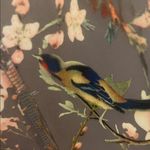 Gracia  cocktail slip dress lace birds lace floral size Large NWT Photo 4