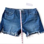 Sam Edelman ‎ High Rise Jean Shorts Photo 13