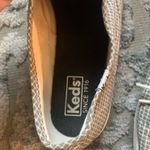 Keds | Gray Checkered Sneakers size 8 Photo 6