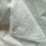 Forever 21 Cropped Smocked Corset Top Button Long Sleeves by Regencycore Photo 10