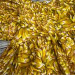 Kika Vargas x Target Women's Floral Puff Sleeve Mini Dress XS Extra Small Yellow Photo 5