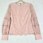 Rachel Parcell  Bishop Sleeve Scalloped Lace Top Size Small Pink Coquette Photo 1