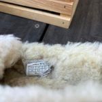 UGG Tan  Ansley Slippers Seude Fuzzy Slip On Shoes Moccasins Photo 4