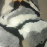 Love Token Scarf Black White Grey Kathleen Rabbit Pull Through OS Rex Rabbit Fur Photo 10