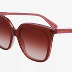 Longchamp New in Case Sunglasses Photo 0