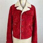 Saint Laurent  Red Suede Boyfriend Shearling Jacket NWT XLarge Photo 0