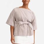 Everlane Poplin Oversized Stripe Top Tan White Crisp Cotton Sz 0 RUNS LARGE Photo 1