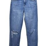 Sincerely Jules High Rise Waist Straight Leg Women's Size 0/24 Photo 0