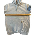 Carhartt  K288 Logo Sleeve Hoodie – Loose Fit, Size M (Unisex) Photo 3