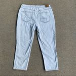 American Eagle AEO Mom Jean high rise light wash pin stripe 14 SHORT Photo 1