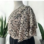 NWT!Leopard Print Black Skirt Belt Pocket Ruffle Sleeve Dress Size 28 or 5X Photo 4