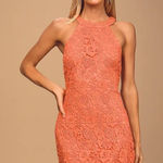 Lulus Lulu’s Love Poem Coral Orange Lace Mini Dress Photo 0