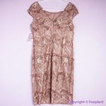 Alex Evenings NEW Alex Evenings cap sleeve Embroidered Sequin Lace Dress, 14 Photo 10