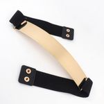 ZARA limited edition stretchable with gold metallic combination belt Photo 3