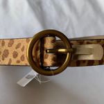 Urban Outfitters Leopard Print Belt Photo 2