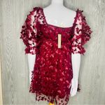 Thirty thirty Allison & Kelly Long Sleeve 3D Butterfly Mesh Mini Dress xs spring Red Photo 5