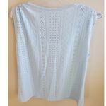 Curvy 2X Women's Light Blue Eyelet Short Photo 1