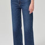 AGOLDE Ren Jeans in Echo Size 29 High Rise Wide Leg Photo 1