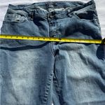 Zanadi Women's Flare Jeans in Blue Size 20W Photo 8