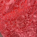 Paper Dolls  dress 14 Elegant Pink Lace v neck lined Photo 3