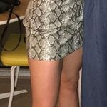 Divided Snakeskin Leather Skirt Photo 0