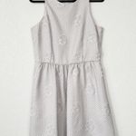 Cynthia Steffe New Feather Gray Roses Floral Dress Size 10 Photo 0