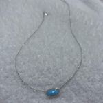 Kendra Scott Elisa Necklace Photo 0