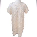 ZARA  LIMITED EDITION RUNWAY STYLE POPULAR TULLE OFF WHITE/CREAM SEQUIN DRESS NWT Photo 4