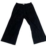 Madewell Women's Black Sheer Pleated Wide-Leg Pants Size S Photo 0