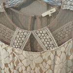 Ryu  velvet burnout & lace long sleeve mini dress Photo 4