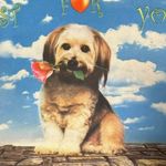 Just For You Dog Purse with Bling Photo 2